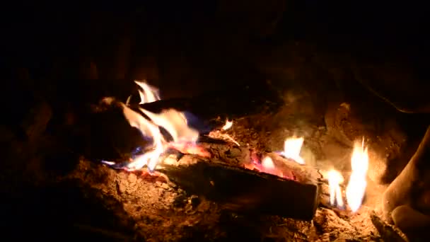 Bonfire. Spalování dřeva. — Stock video
