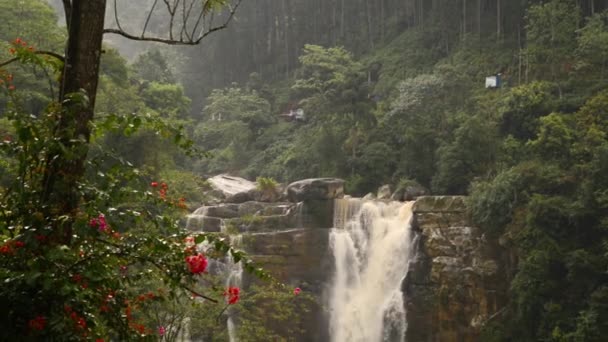 Hermosa cascada Ramboda en Sri Lanka — Vídeo de stock