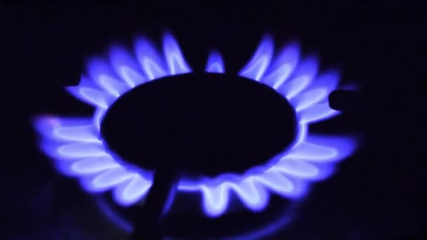 Blue gas lights up in the dark in a gas burner — Stock Video