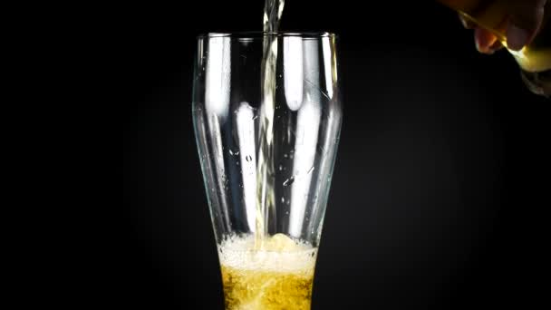 Beer ale. Freshly brewed beer is poured into a beer glass — 비디오