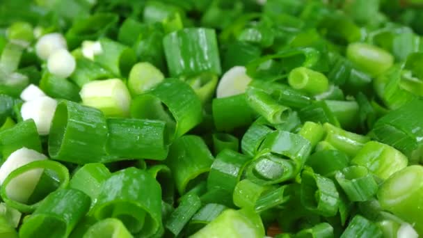 Green onions finely chopped.Green onion background. — 비디오