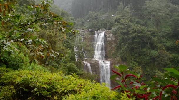 Majestic waterfall Ramboda. Symbol of Sri Lanka — Stock Video