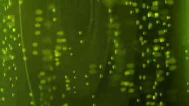 Biradaki kabarcıklar yükselir. Yakın plan. Makro çekim