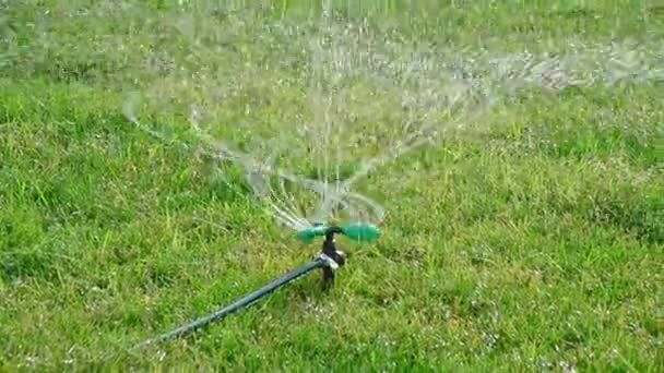 Sistem irigasi penyemprot bekerja di taman hijau, menyiram bunga dan rumput. Penyiraman kepala sprinkler — Stok Video