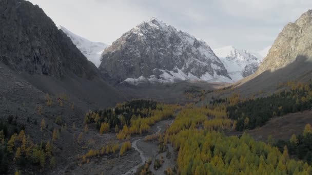 Flying over valley with autumn trees and river among high mountains. Video drone. 4k — Stock Footage Flying Valley Autumn Trees River High Mountains Video Drone Stock Footage