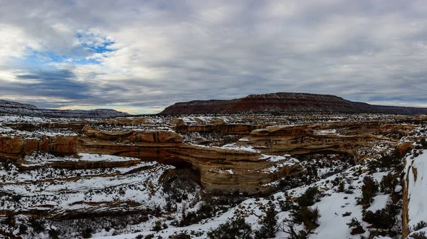 Vinter canyon i Arizona — Stockfoto