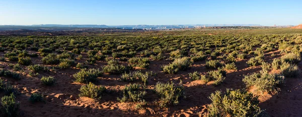 Deserto em torno de Grand Canyon Horseshoe Bend Page Arizona — Fotografia de Stock