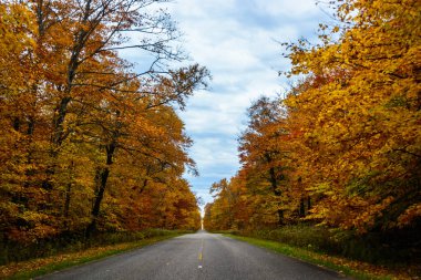 Sonbahar yol kayalar Ulusal Lakeshore resimde, Munising, mı, bize
