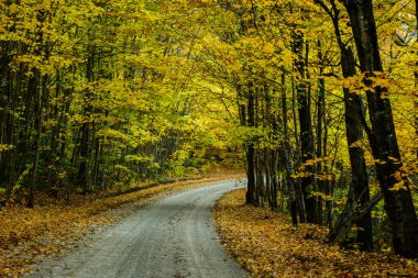 Sonbahar yol içinde orman, resimde kayalar Ulusal göl kıyısındaki Munisin