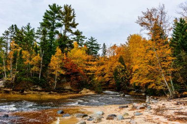 Resimde kayalar Ulusal Lakeshore, ABD ormandaki nehir. Tortum