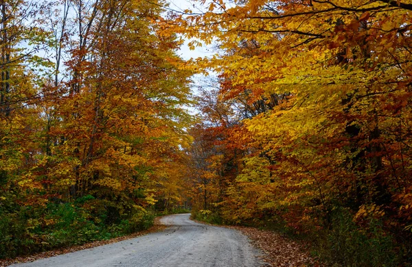 Sonbahar yol içinde orman, resimde kayalar Ulusal göl kıyısındaki Munisin — Stok fotoğraf