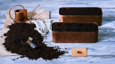 Otlar tohum Ekim, stüdyo vurdu