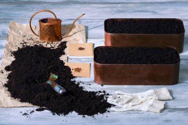 Otlar tohum Ekim, stüdyo vurdu