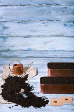 Otlar tohum Ekim, stüdyo vurdu