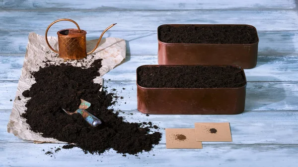 Otlar tohum Ekim, stüdyo vurdu