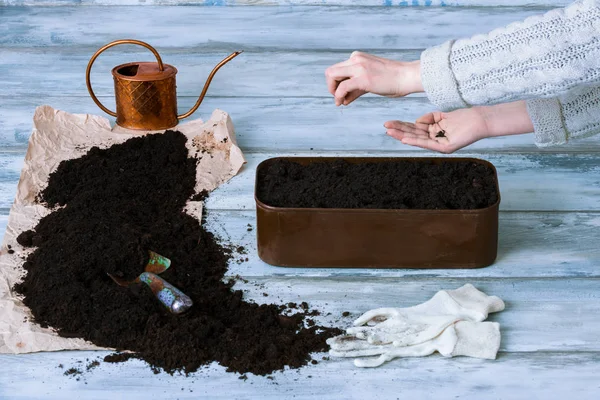 Kadın bahçıvan otlar Ekim