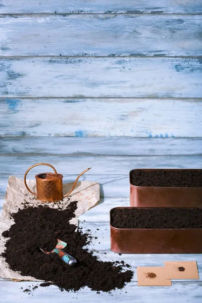 Otlar tohum Ekim, stüdyo vurdu