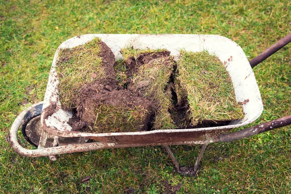 Schubkarre voll mit altem Rasen — Stockfoto