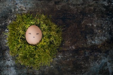 Bir yosun yuva, mutlu Paskalya kavramı, retro Paskalya arka plan bir Paskalya yortusu yumurta