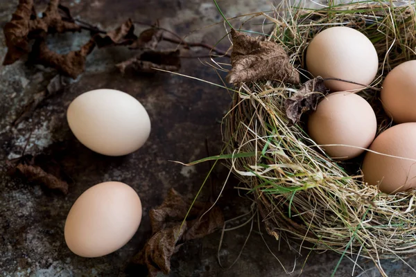 새 둥지, 행복 한 부활절 개념 배경에서에서 많은 자연 부활절 달걀 — 스톡 사진