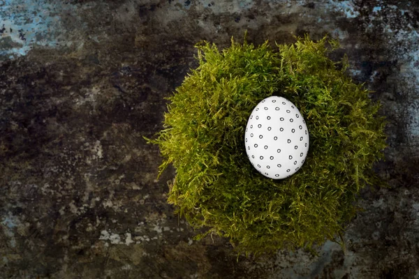 Een Paas-ei in een nest van mos, gelukkig Pasen concept, retro Pasen achtergrond — Stockfoto