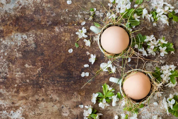 Uncolored natural easter eggs in green espresso cups, happy easter concept with white spring flowers, retro easter background — Stock Photo, Image