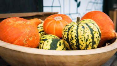 Çiftçilere piyasa sırasında görüntülenen çeşitli olgun balkabağı. Taze biyo kabaklar bakkal ya da süpermarket