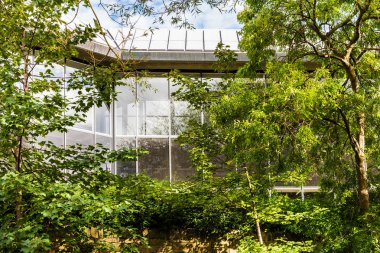 Modern ofis binasının dış birçok windows, yenilgileri ve ağaçlar ile