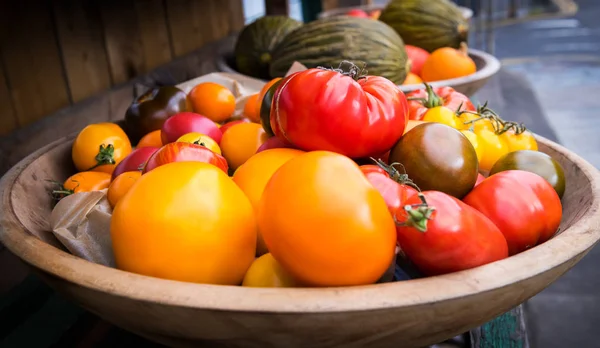Olika färska gård grönsaker. Höstens skörd och hälsosamma ekologiska livsmedel koncept. Fräsch bio grönsaker i en livsmedelsbutik. — Stockfoto