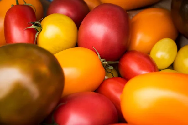 Olika färska tomater. Höstens skörd och hälsosamma ekologiska livsmedel koncept. Fräsch bio tomater detalj. — Stockfoto