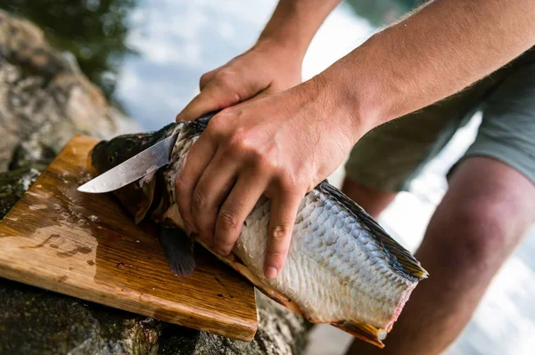 Fiskaren filéas färsk fångad sötvatten karp, fiskare och hans fångst — Stockfoto