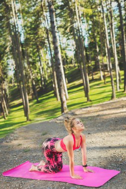 Genç kadın bir ormanda yoga uygulamak için hazır. İnek poz. Sakinlik, sakin ol, zihin ve vücut mutluluk kavramı