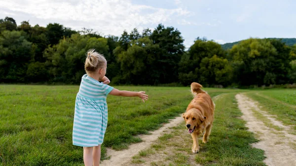 Adorable niña preescolar jugando con su lindo perro mascota golden retriever en un prado —  Fotos de Stock
