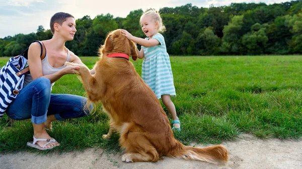 Gadis pirang kecil yang manis tersenyum dan memeluk anjing peliharaannya golden retriever — Stok Foto