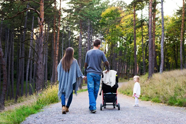 幸せな若い家族の背面図、公園で散歩します。娘、父、乳母車を押すとフォレストのパスに沿って歩いて一緒に手を取り合って家族 — ストック写真