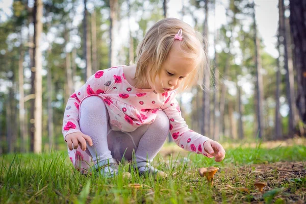 Schattige blonde peuter meisje paddestoelen plukken in een forest. — Stockfoto