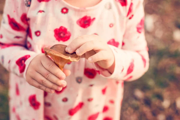 Невідома дівчинка-малюк збирає гриби в лісі. Щаслива дитина тримає гриб — стокове фото