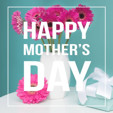 Mutlu anneler günü Pastel şeker mavi renkli arka plan ile bir vazo içinde koyu pembe gerbera.