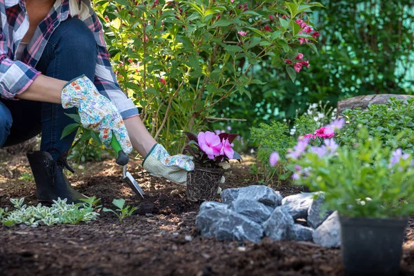 Hermosa Jardinera Femenina Sosteniendo Una Planta Con Flores Lista Para — Foto de Stock