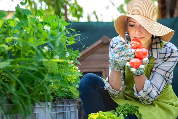 Hermosa Joven Agricultora Pequeñas Empresas Oliendo Tomates Recién Cosechados Jardín — Foto de Stock