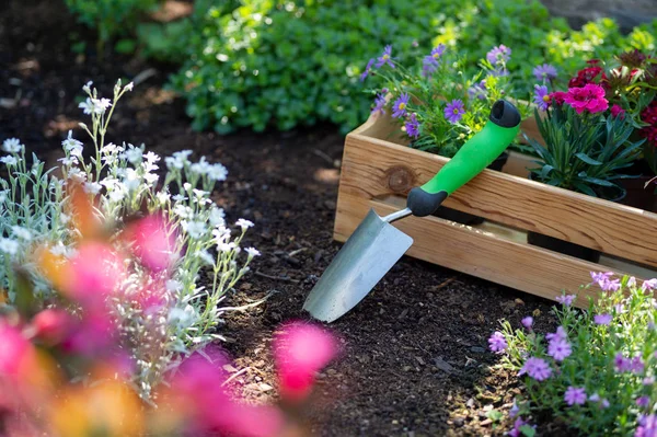 Tuinieren Krat Vol Bloempotten Tuin Gereedschappen Klaar Voor Aanplant Zonnige — Stockfoto