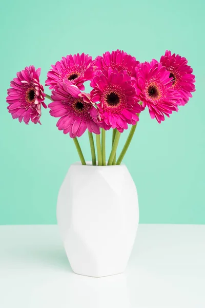 Mooie Donkerroze Gerbera Madeliefjes Een Effen Witte Vaas Tegen Pastelgroene — Stockfoto