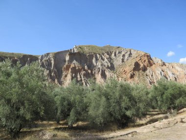Sierra Nevada Tabiat Manzarası