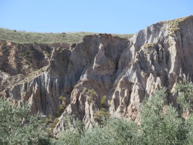Sierra Nevada Tabiat Manzarası