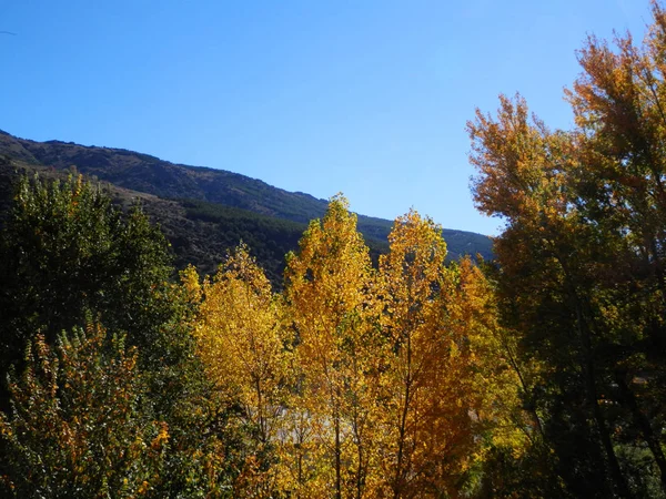Alpujara Region sonbahar renkleri, İspanya