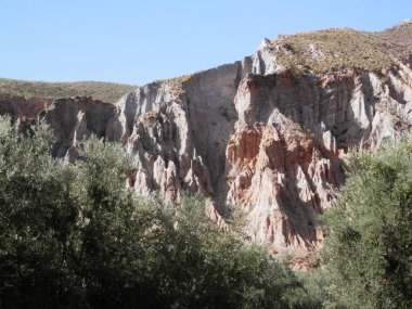 Sierra Nevada Tabiat Manzarası