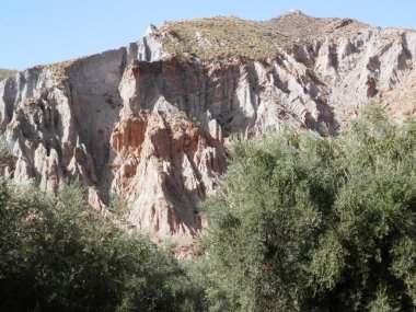 Sierra Nevada Tabiat Manzarası