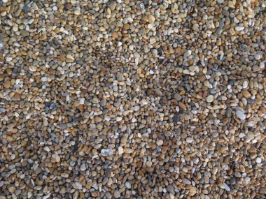 Dorset Beach'te Zona 