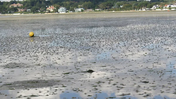 Low Tide in Poole harbor — Stock Photo, Image