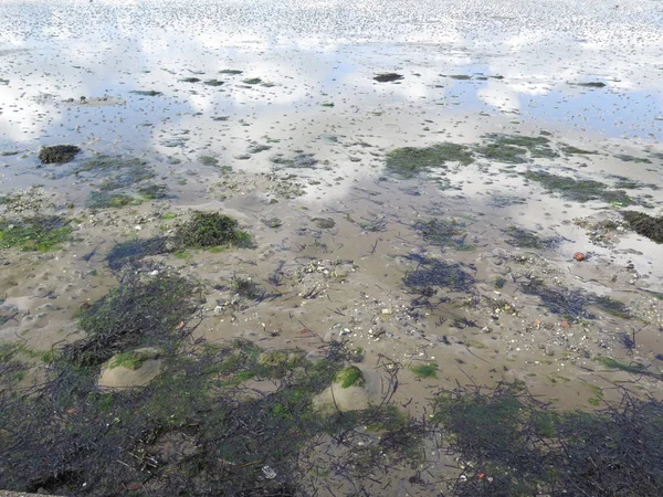 Maré baixa no porto de Poole — Fotografia de Stock